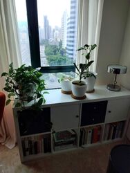 Jervois Jade (D10), Apartment #450285131